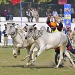 Screenshot_20260218-114819~2